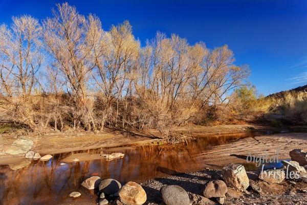 Arizona