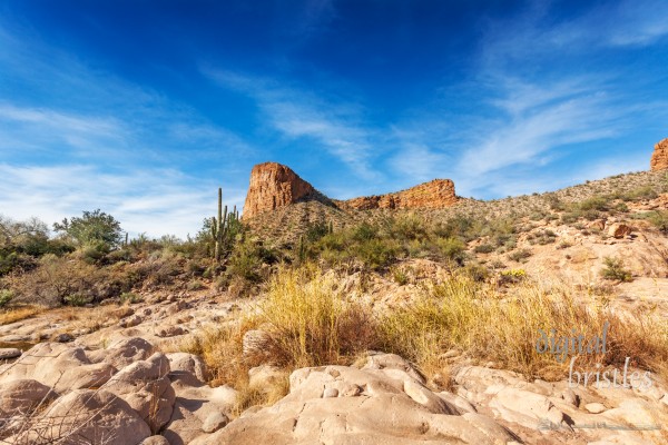 Arizona