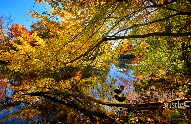 Boston