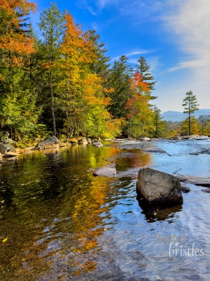 New Hampshire