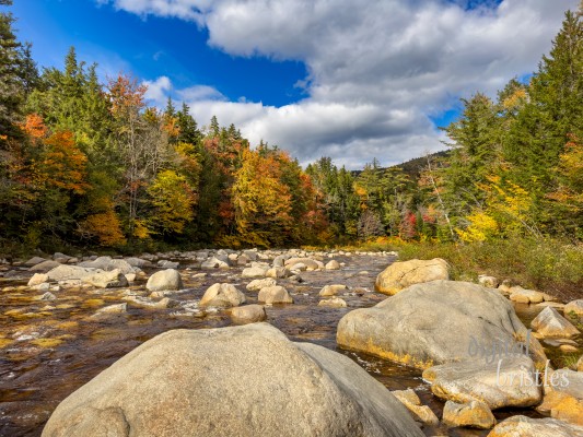 New Hampshire