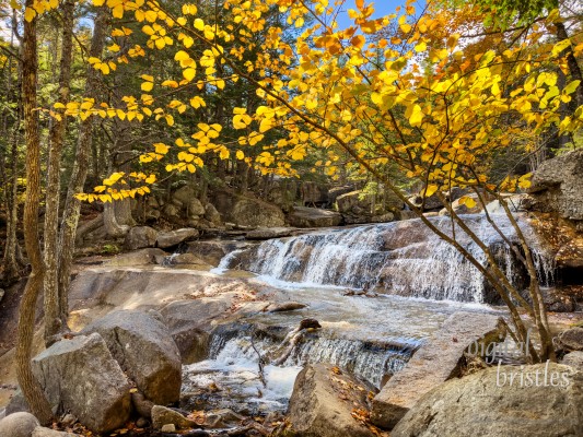 New Hampshire
