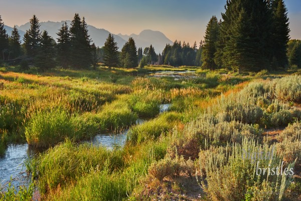 Grand Teton & Yellowstone