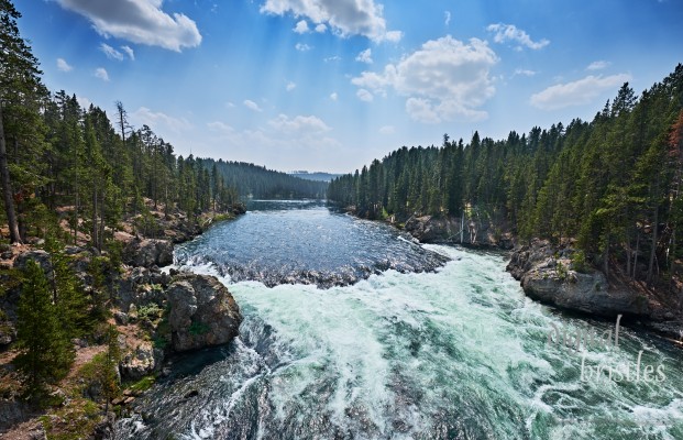 Grand Teton & Yellowstone