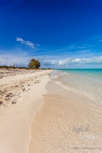 Turks & Caicos Islands