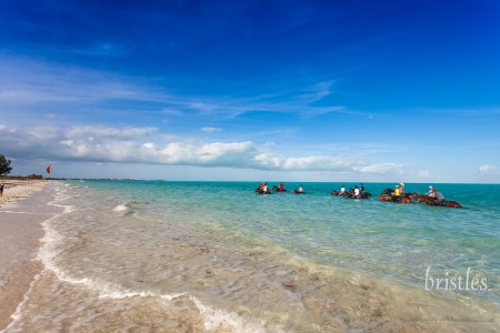 Turks & Caicos Islands